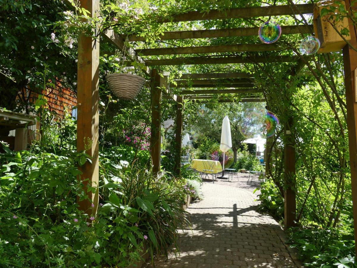 Villa Rosa Trois Epis מראה חיצוני תמונה