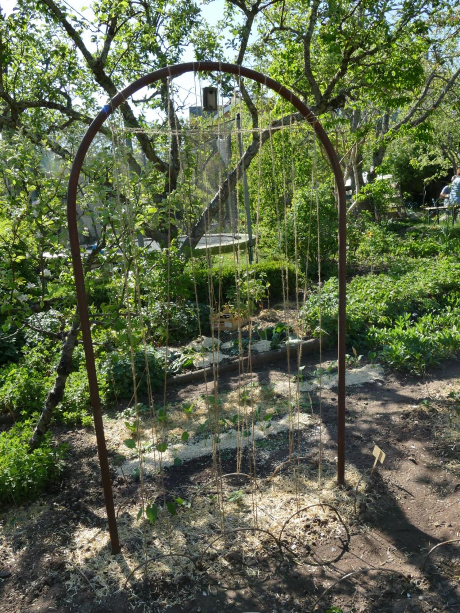 Villa Rosa Trois Epis מראה חיצוני תמונה